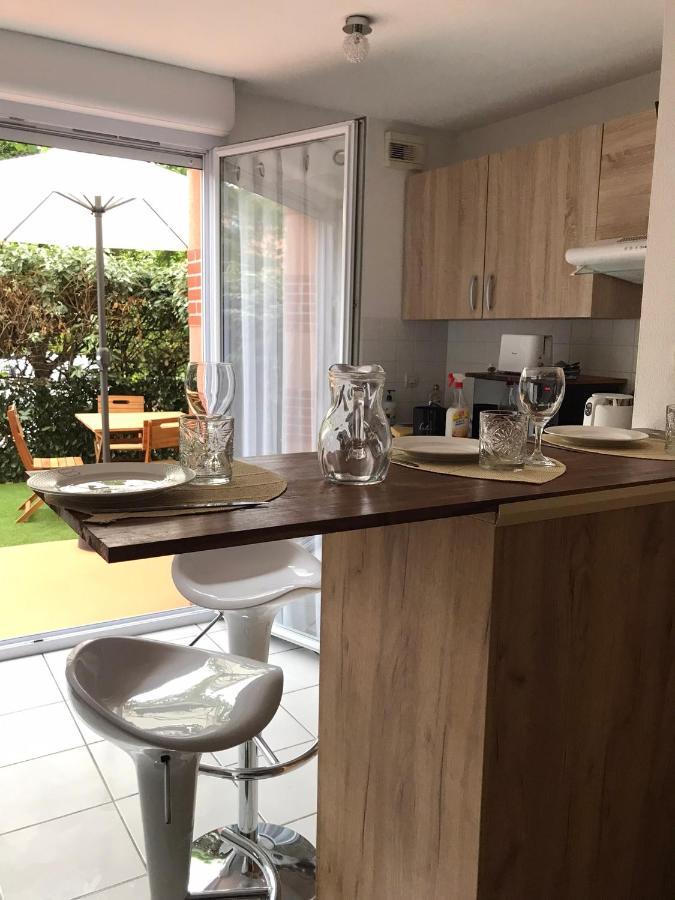 T2 Climatise Jardin & Court De Tennis/Piscine /Parking/Fibre تولوز المظهر الخارجي الصورة