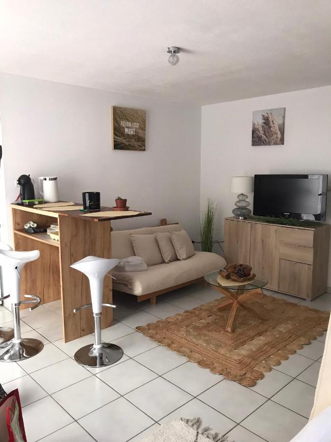 T2 Climatise Jardin & Court De Tennis/Piscine /Parking/Fibre تولوز المظهر الخارجي الصورة